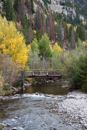 Landscaping Frisco Colorado