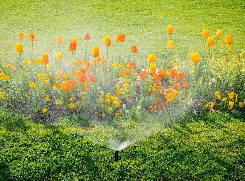 Lawn irrigation company in Summit County, CO